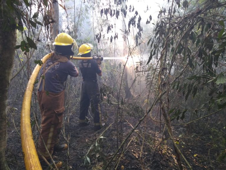 En Misiones el organismo ambiental multó con más de 350 mil pesos al infractor que provocó el incendio forestal en las 2000 hectáreas de Iguazu y que ocasionó pérdidas a Comunidades Mbya Guaraní 