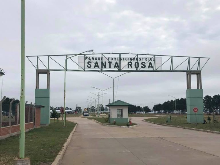Oportunidad Laboral: importante empresa busca encargado de aserradero en Santa Rosa, Corrientes