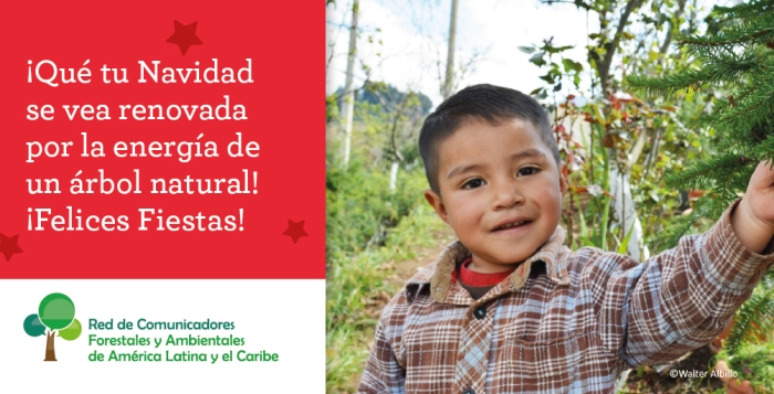 #NavidadNatural: La Red de Comunicadores Forestales y Ambientales de América Latina y el Caribe lanzó su campaña de acción climática promoviendo la elección de árboles naturales y regalos del bosque para las fiestas de fin de año
