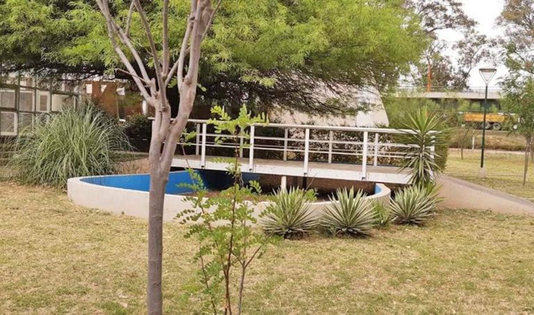 Santiago del Estero: el Jardín Botánico de la facultad de Forestales recibe más de 5 mil estudiantes al año