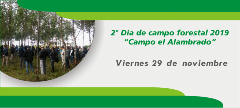 Entre Ríos: INTA organiza el II Día de Campo Forestal El Alambrado 2019
