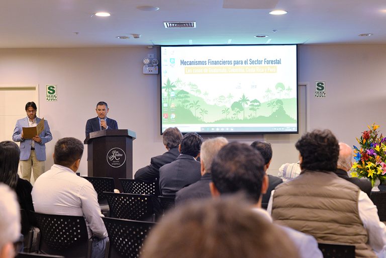 Mecanismos financieros para el sector forestal: compartieron experiencias en Guatemala, Colombia, Costa Rica y Perú para promover más inversiones sostenibles 