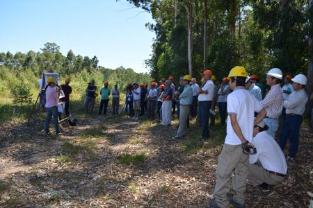 INTA Concordia compartió con productores avances de nuevos clones plantados GC INTA 8 y EG INTA 157 de Eucalyptus grandis