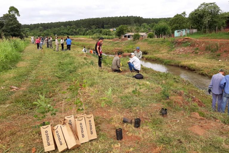 Misiones: jóvenes de 18 a 23 años realizaron prácticas de plantación de especies nativas en el marco de la formación y competencias laborales en Puerto Esperanza