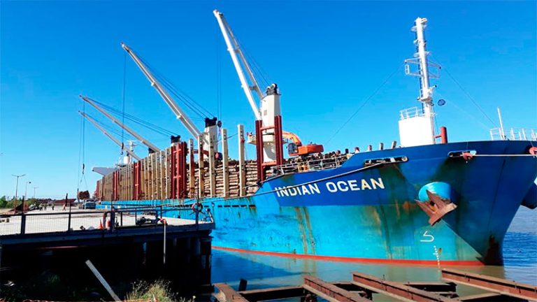 Puerto Ibicuy: cargan el último buque del año con 34 mil toneladas de madera de pino con destino a China