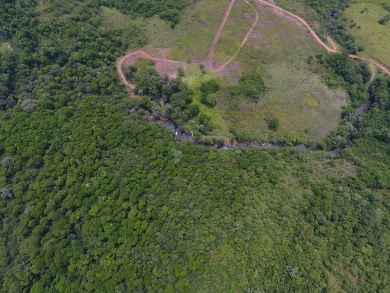 Misiones: con imágenes satelitales y el sobrevuelo de un drone se detectó una explotación rural en San Vicente que avanzó con un desmonte que no respeta las normas vigentes para la protección de las cuencas hídricas