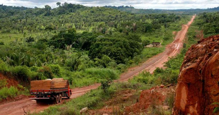 Brasil: organizaciones instan a la Unión Europea a prohibir todas las importaciones vinculadas a la deforestación