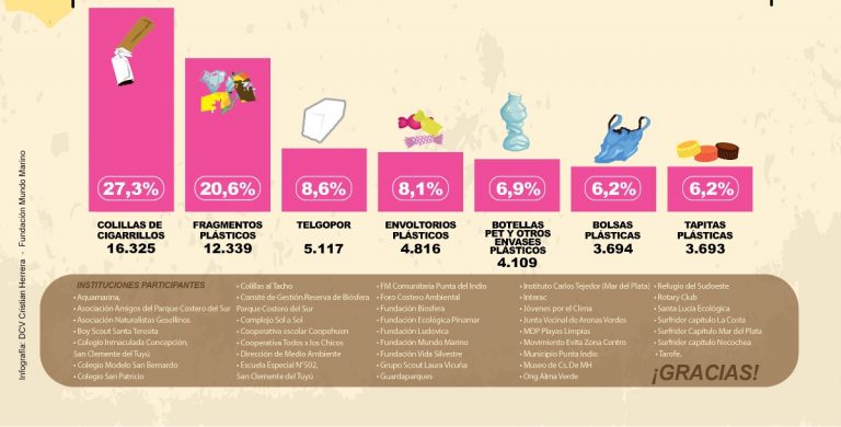 Costa Atlántica bonaerense: censo marino indica que el 80% de los residuos encontrados en las playas son plásticos
