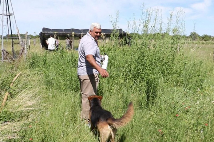 Santa Fe: cobró vida un proyecto para instalar el primer vivero forestal de especies nativas en Villa Guillermina