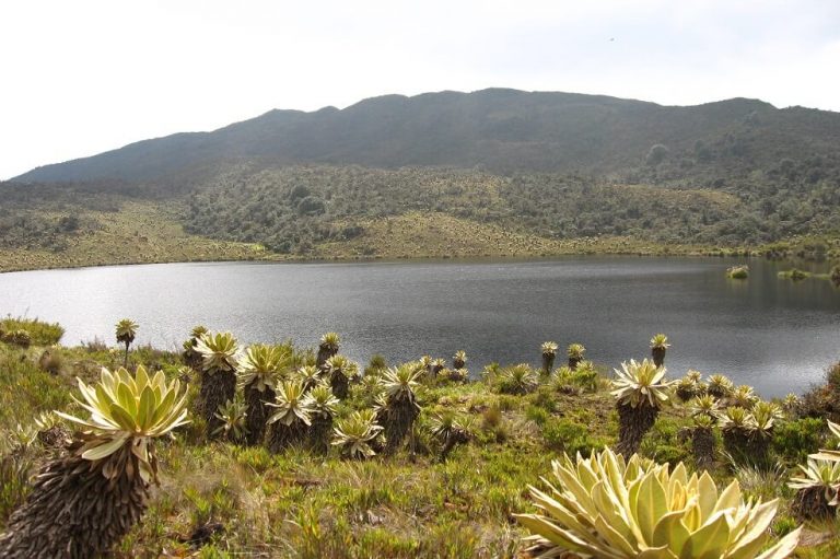 Colombia, uno de los países más ricos en biodiversidad en el mundo