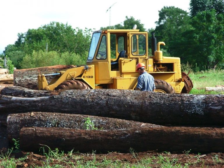 Búsqueda Laboral: Operario con experiencia en plantación, manejo de máquinas forestales y camiones busca empleo