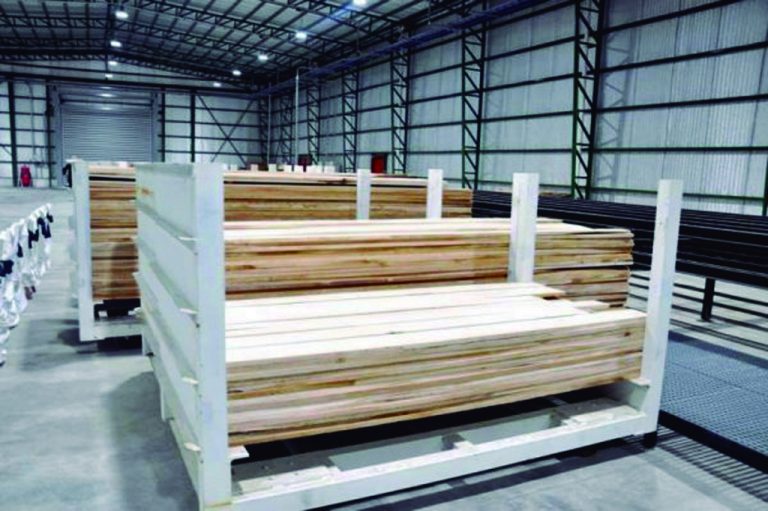 Desde Tolhuin a Punta Arena, después de 20 años vuelven a exportar madera de lenga aserraderos argentinos a Chile