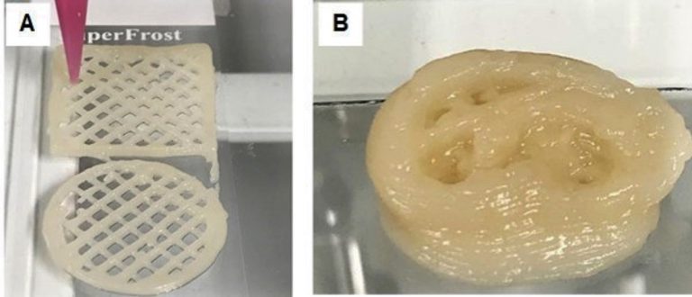 #FuentesRenovables: Bioplásticos 2G a partir de residuos lignocelulósicos