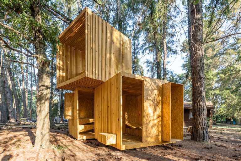 Arquitectura y diseño: estructuras de madera construidas por estudiantes en Hello Wood Argentina 2020