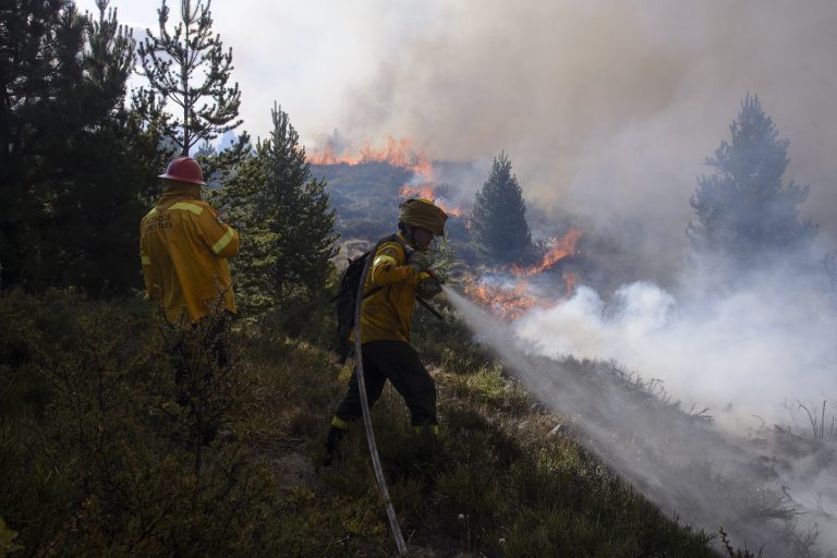 Patagonia: un incendio forestal en Bariloche arrasa varias hectáreas y está fuera de control