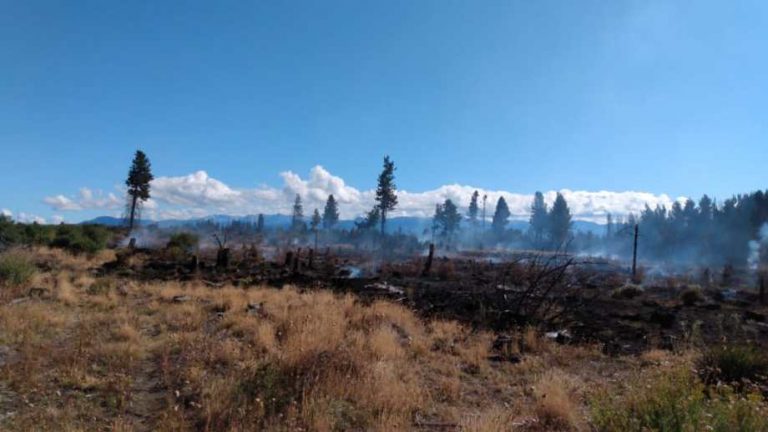 Aún no logran extinguir el incendio forestal en Bariloche