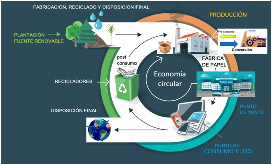 La industria del papel es referente en la economía circular