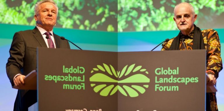 CIFOR: Cinco (o seis) soluciones para salvar los bosques del mundo y restaurar los paisajes