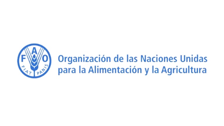 Oportunidad Laboral: FAO Argentina busca profesional con experiencia en desarrollo de estrategias sostenibles para la seguridad alimentaria
