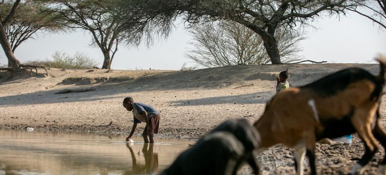 El cambio climático es más mortal que el coronavirus