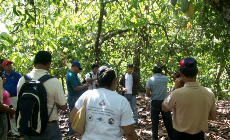 Perú será escenario de debate sobre la implementación de REDD+ en América Latina