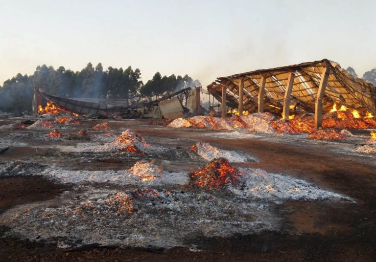 TAEDA SA: estiman pérdidas por más de 10 millones de dólares tras el incendio de la maderera y registran 116 trabajadores que demandan contención social