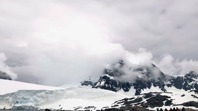 Ciencia: la Antártida era una selva tropical hace 90 millones de años