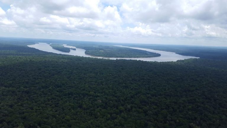 Entrevista a Gustavo Zurita, del CeIBA: “El Bosque Atlántico representa una gran oportunidad para mostrar al país, y al mundo, que es posible conciliar un desarrollo humano de calidad con una naturaleza saludable”