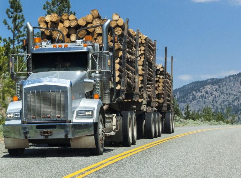 El sector forestal de Canadá busca apoyo del gobierno para enfrentar la tormenta frente a la crisis por COVID-19