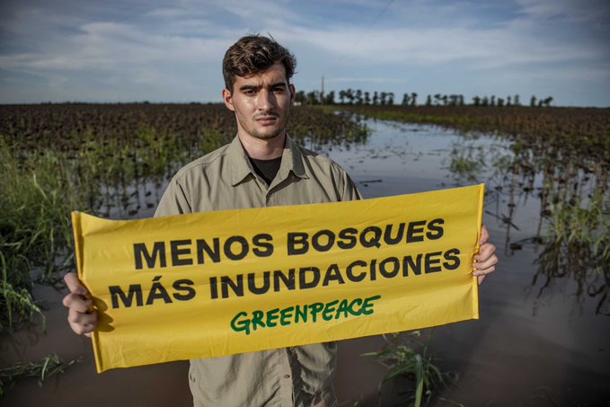 Relevamiento de Greenpeace expone actividades de desmontes en Santiago del Estero, Salta, Chaco y Formosa durante la cuarentena