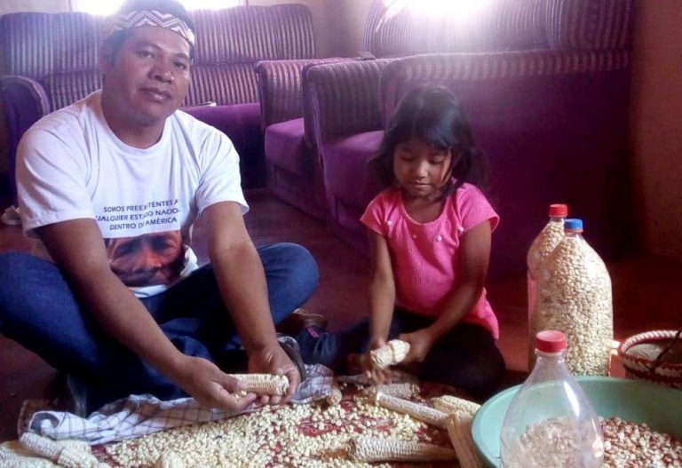 Epifanio Chamorro, de Tekoa Arandu: «Con la guía de los líderes espirituales Mbya, el pueblo sabía que debía cuidar de las semillas, el monte y el territorio»