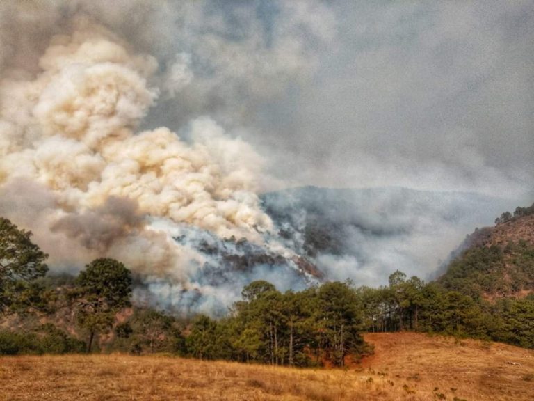 México: mueren cinco brigadistas en intento por sofocar incendio en Oaxaca