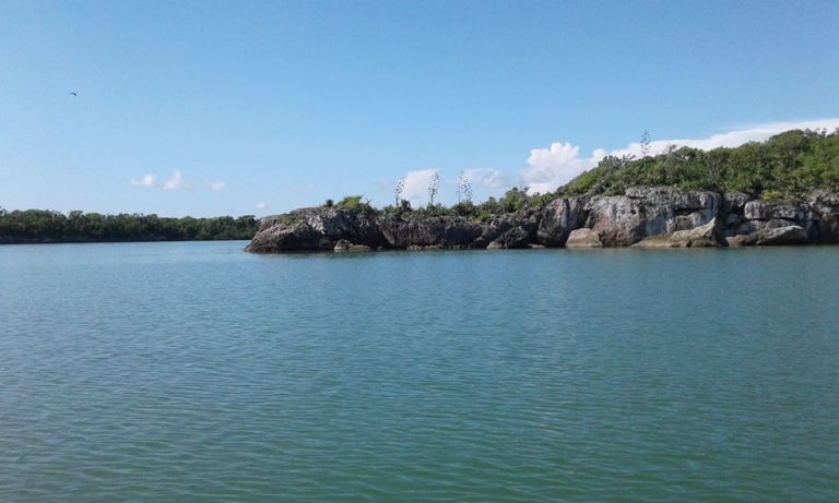 Parque Nacional Caguanes, un área natural que resguarda una biodiversidad extraordinaria y esconde secretos arqueológicos únicos de la isla de Cuba y todo el Caribe