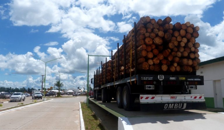 Oportunidad laboral: para nueva planta de bioenergía en Corrientes, se busca profesionales con experiencia para Jefes de Turno de operación