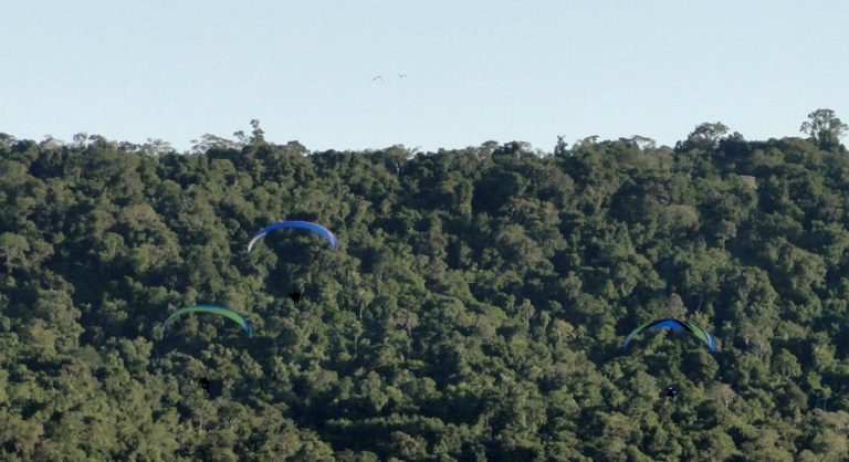Brasileños volaron ilegalmente en parapentes sobre los Saltos del Moconá, en plena cuarentena