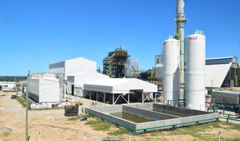 Genergíabio Corrientes reorganiza su puesta en marcha y espera pasar la pandemia para iniciar las pruebas de la nueva planta de generación de energía de biomasa forestal en Santa Rosa