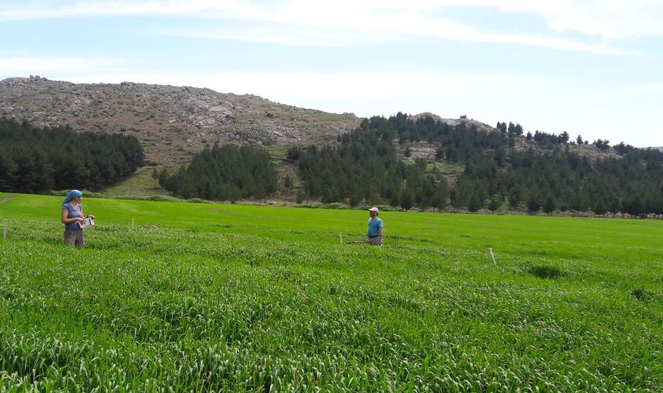 ambientes_donde_midio_metano_mes_de_octubre (2)