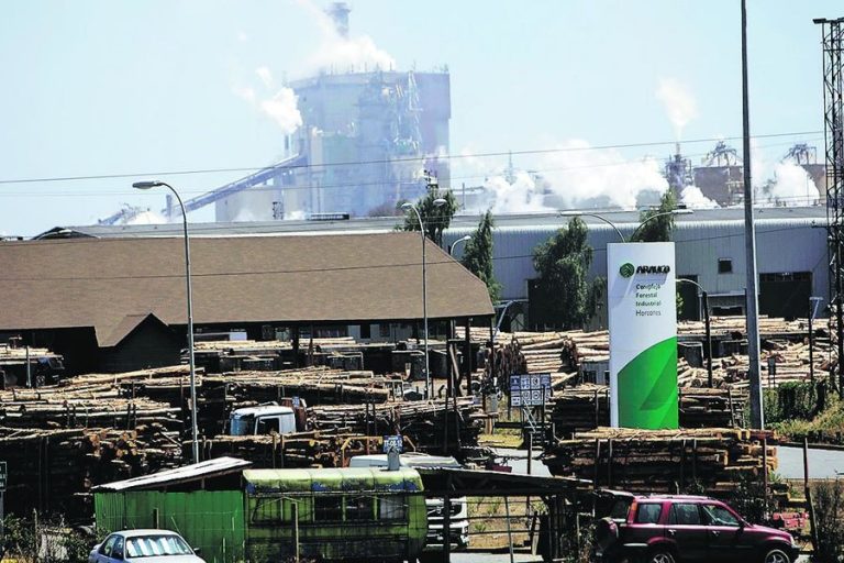 Chile: Arauco cerró el primer trimestre con pérdidas afectado por celulosa respecto al mismo período de 2019