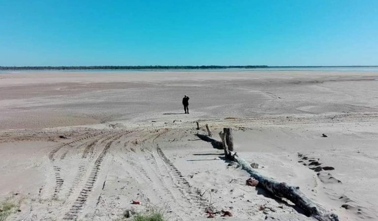 Corrientes: especialistas pronostican que «la bajante del río Paraná será peor en los próximos meses y provocará una mortandad inusitada de peces»