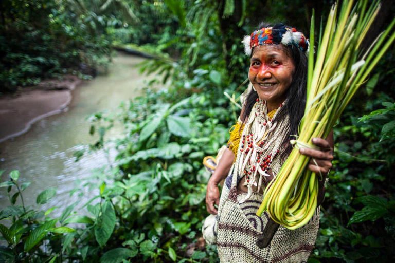 Ecuador: urgente llamado de atención humanitaria y en salud en territorio indígena Waorani por confirmación de casos de COVID-19