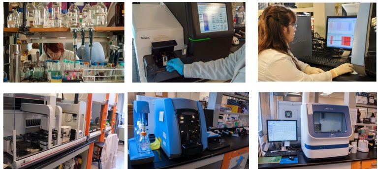 Biotecnología: avanzan en estudios de análisis de ADN en árboles para asistir a las actividades forestales y frutales