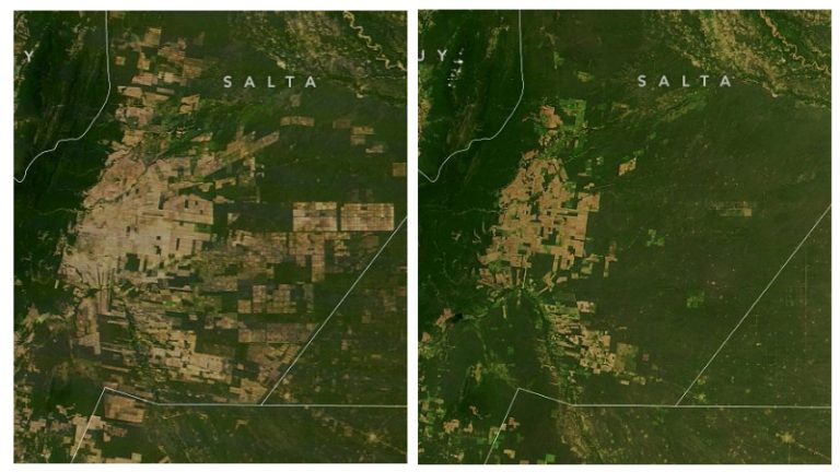 La NASA expuso el avance de la deforestación en el Gran Chaco argentino