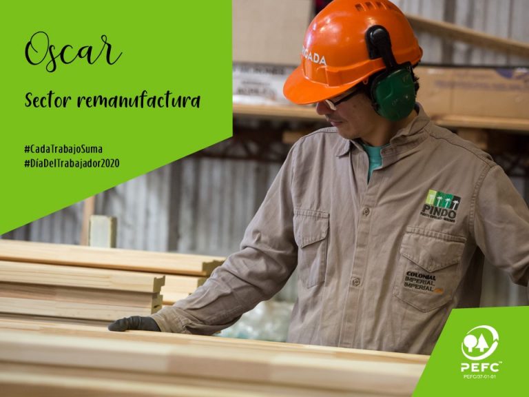 En el Día Internacional del Trabajador, PEFC – Cerfoar impulsó una campaña especial en reconocimiento a las personas comprometidas con la gestión forestal sostenible