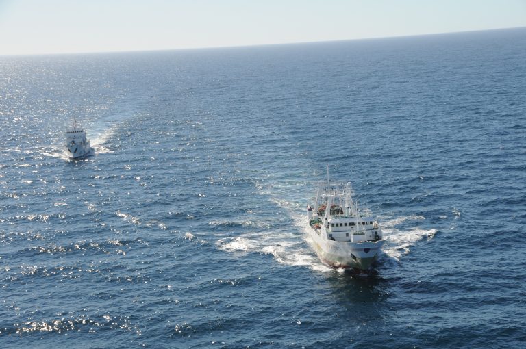 Greenpeace denunció que «hay más de 100 barcos extranjeros pescando ilegalmente en Mar Argentino»