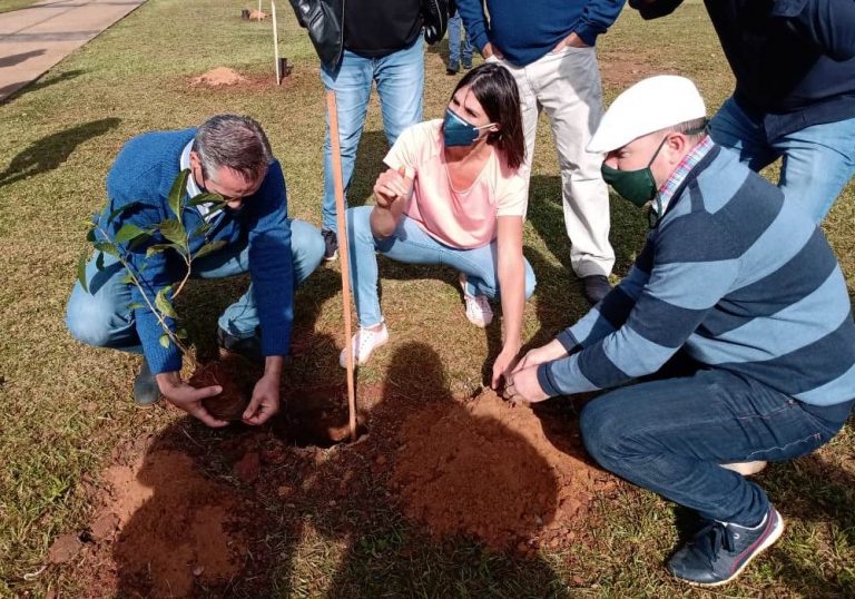 “Deja tu huella, planta un pulmón”, el nuevo programa provincial de arborización urbana con especies nativas se lanzó en Misiones