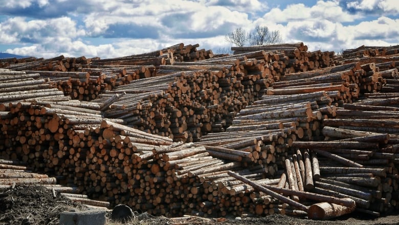canada quesnel-lumber-mill
