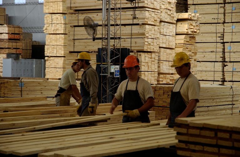 Domingo Paiva, del SOIME: «Los trabajadores de la madera atraviesan con preocupación uno de los momentos más complejos de la industria del aserrado y terciado»