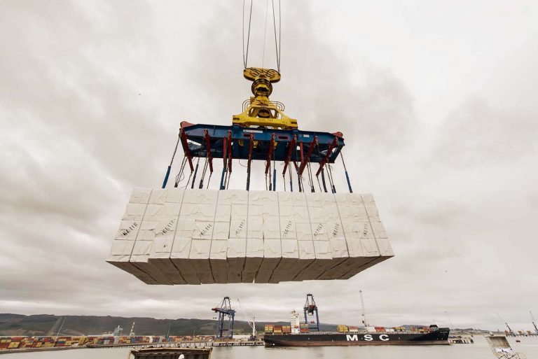 Exportaciones de Los Ríos en Chile crecieron un 87% en 2024, impulsadas por celulosa y madera