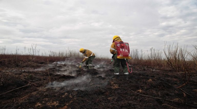 En el primer semestre del año se detectaron mediante datos satelitales más de 3.700 potenciales focos de incendio en el Delta del Paraná