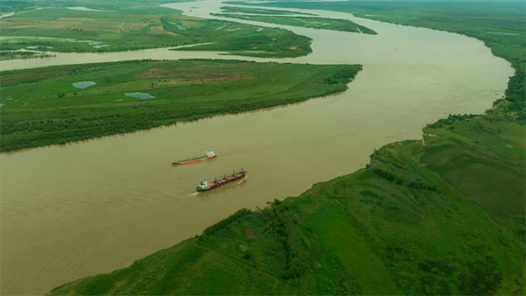 Por la bajante del río y la quema de pastizales, declararán zona crítica de protección ambiental al delta del río Paraná